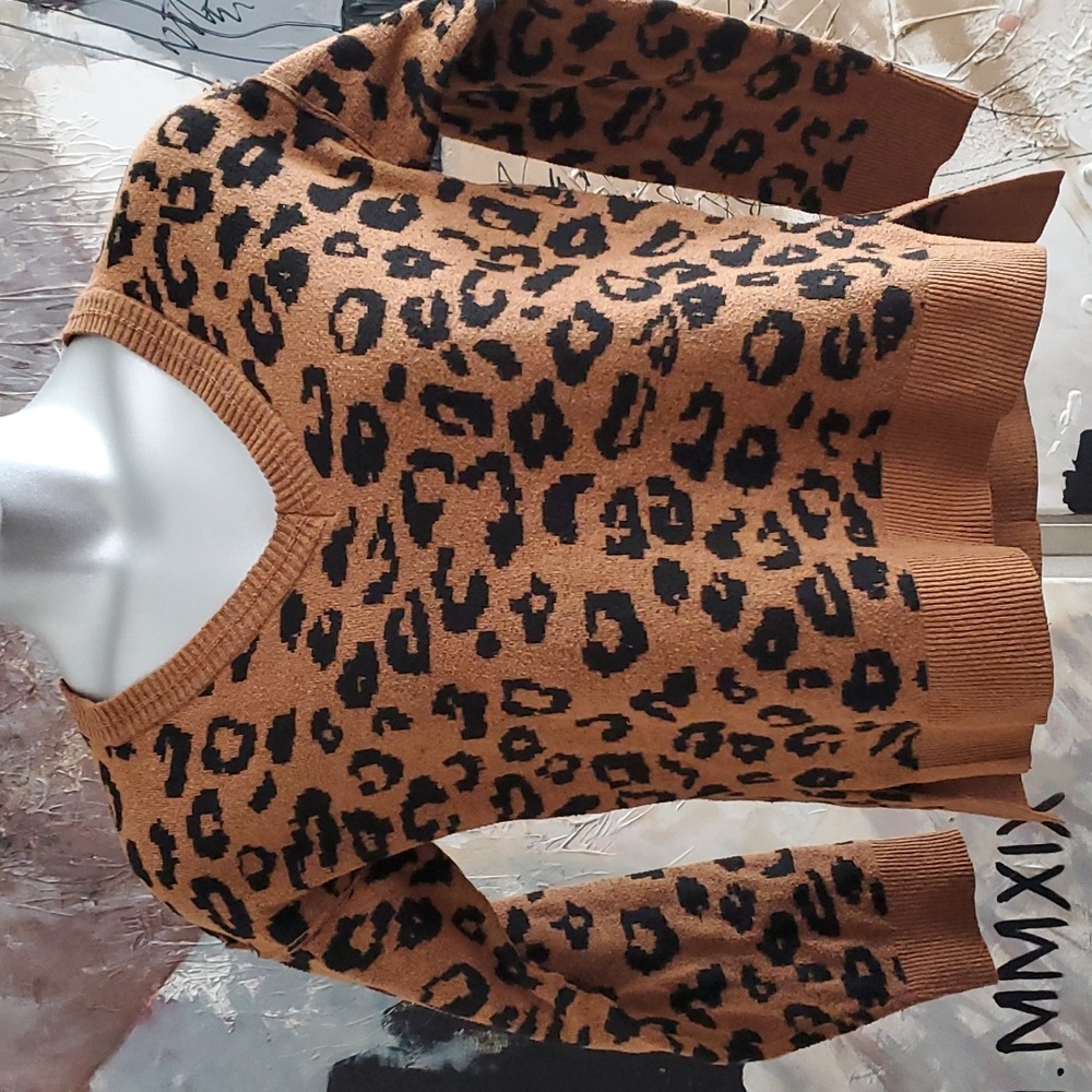 Knox Rose Cheetah Print Vneck Women S
